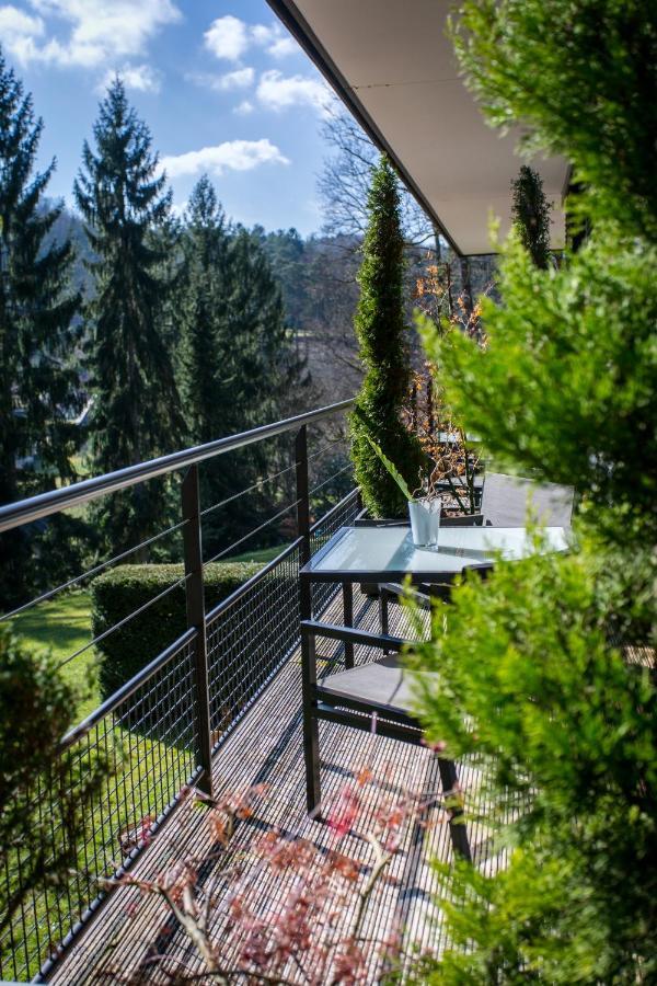 Restaurant Hotel L'Arnsbourg Baerenthal Εξωτερικό φωτογραφία